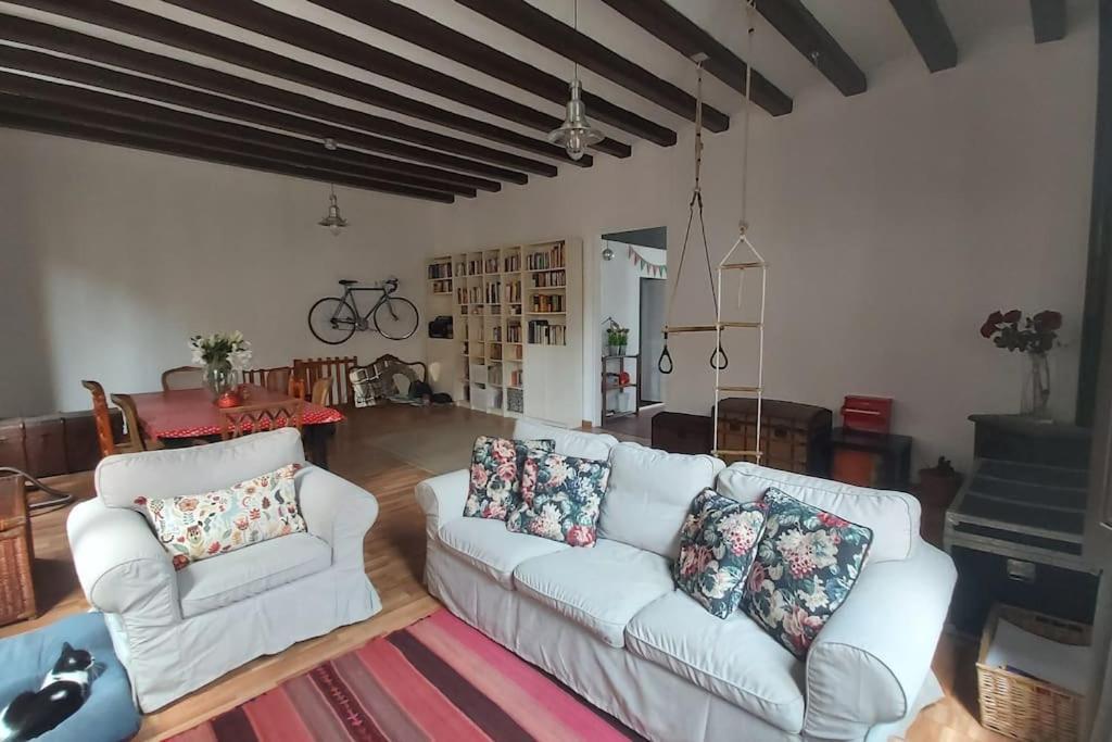 Small Room In Sants With Huge Terrace Барселона Экстерьер фото